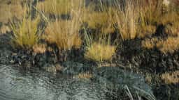 Environmental Visualization for SPACE10 Climate Stressors - thumbnail 3