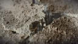 Environmental Visualization for SPACE10 Climate Stressors - thumbnail 5