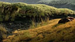 Environmental Visualization for SPACE10 Climate Stressors - thumbnail 6
