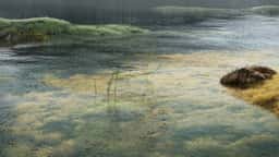 Environmental Visualization for SPACE10 Climate Stressors - thumbnail 7