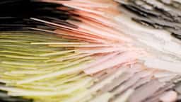 Experimental Motion Research for Media.Work - thumbnail 6
