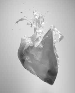 Experimental Motion Research On Plastic Recycling - thumbnail 4