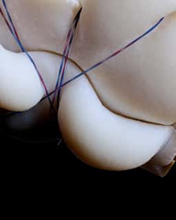 Experimental Motion Study for Foam Material - thumbnail 2