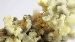 Experimental Motion Study for Foam Material - thumbnail 6