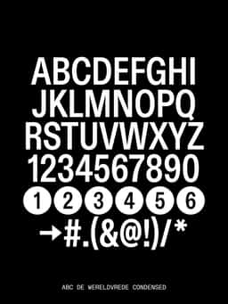Brand Identity for De Wereldvrede Production Company - thumbnail 8