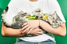 Rebrand for a Vietnamese raw pet food manufacturer  - thumbnail 3
