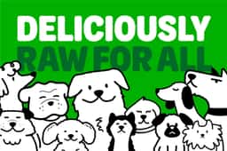 Rebrand for a Vietnamese raw pet food manufacturer  - thumbnail 4