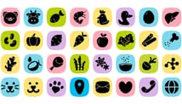 Rebrand for a pet food company  - thumbnail 5