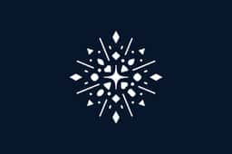 Rebrand and packaging system for a haute couture jewelry brand  - thumbnail 5