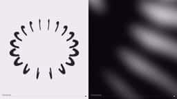 Brand Identity and Motion Design for Croud Marketing - thumbnail 4