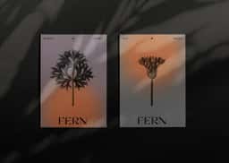 Brand Identity for Fern London Restaurant - thumbnail 9