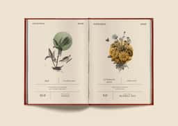 Brand Identity for Mr Fox Public House - thumbnail 9