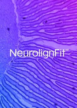 Brand Transformation for Neurolign Brain Health Tracker - thumbnail 3