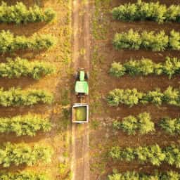 Brand Identity and Naming for a Regenerative Agriculture Company - thumbnail 9