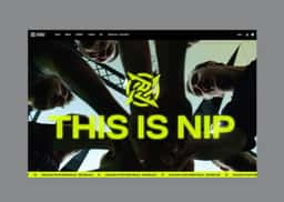 Rebrand for Ninjas in Pyjamas Esports Organization - thumbnail 4