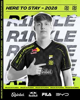Rebrand for Ninjas in Pyjamas Esports Organization - thumbnail 6