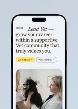 Employer Brand and Website Experience for GoodVets - thumbnail 2