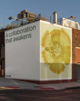 Brand Evolution for Seed Microbiome Health - thumbnail 6