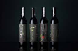 Packaging for Quinta Das Aveleiras Reserva 2013 - thumbnail 2
