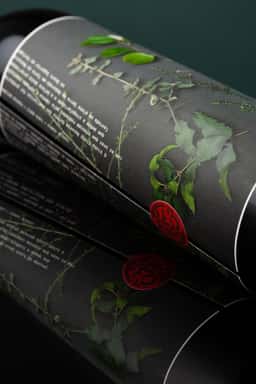 Packaging for Dom Ponciano Wine - thumbnail 7