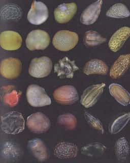 Institute for Postnatural Studies Visual Identity - thumbnail 5