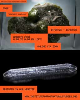Institute for Postnatural Studies Visual Identity - thumbnail 7
