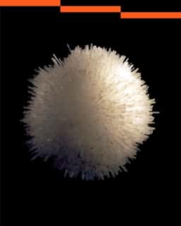Institute for Postnatural Studies Visual Identity - thumbnail 8