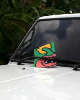 Brand Identity and Packaging for Chilli Bomba - thumbnail 4