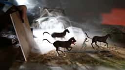 Stop-Motion Climate Films for WWF - thumbnail 5