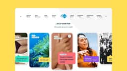 Web Platform for NPO Kennis - thumbnail 5