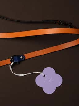 Brand Identity for Fluffle Pet Accessories - thumbnail 6