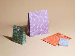 Visual Identity for Kapok 15th Anniversary - thumbnail 8