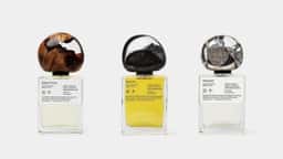 Brand Identity and Packaging for Oddity Fragrance - thumbnail 2