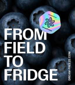 Brand Identity and Website for a Food Preservation Biotech Company - thumbnail 7