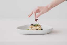 Website and Digital Identity for Figgjo Porcelain - thumbnail 3