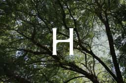 Bespoke Visual Identity for Norwegian Carpentry Brand Hamran - thumbnail 4