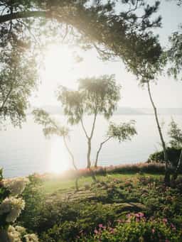 Brand Identity and Website Design for Flor & Fjære - thumbnail 3