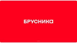 Brand Identity Refresh for Brusnika - thumbnail 3