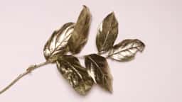 E-Commerce Website Design for Gold Apple - thumbnail 4