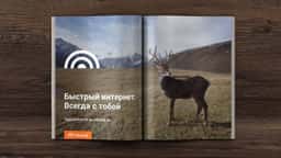 Brand Identity and Digital Platform for Skylink Internet Service - thumbnail 5