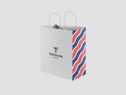 Brand Identity Redesign for Tervolina Footwear Retailer - thumbnail 2