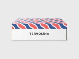 Brand Identity Redesign for Tervolina Footwear Retailer - thumbnail 6