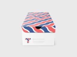 Brand Identity Redesign for Tervolina Footwear Retailer - thumbnail 7