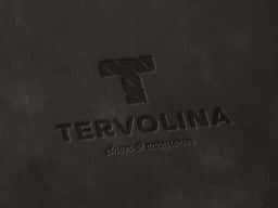 Brand Identity Redesign for Tervolina Footwear Retailer - thumbnail 8