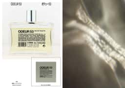 Anniversary Booklet for Comme Des Garçons Parfums - thumbnail 8