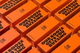 Brand Identity and Packaging for Booze&Buzz Meadery - thumbnail 2