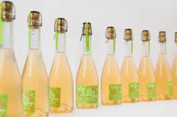 Brand Identity and Packaging for Booze&Buzz Meadery - thumbnail 8