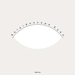 Exhibition Identity for Kaleidoscope Eyes - thumbnail 9