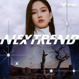 Playlist Identity for Naver VIBE NEXTREND - thumbnail 6
