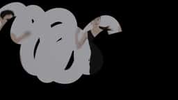 Motion Graphics for Leenalchi's Tiger's Third Leg - thumbnail 7